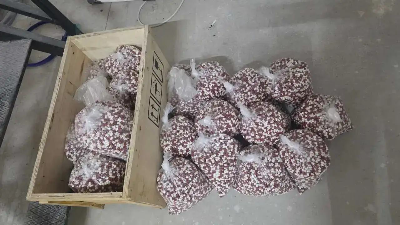 Adana’da Kırmızı Reçeteli Hap İmalathanesi Çökertildi! 2